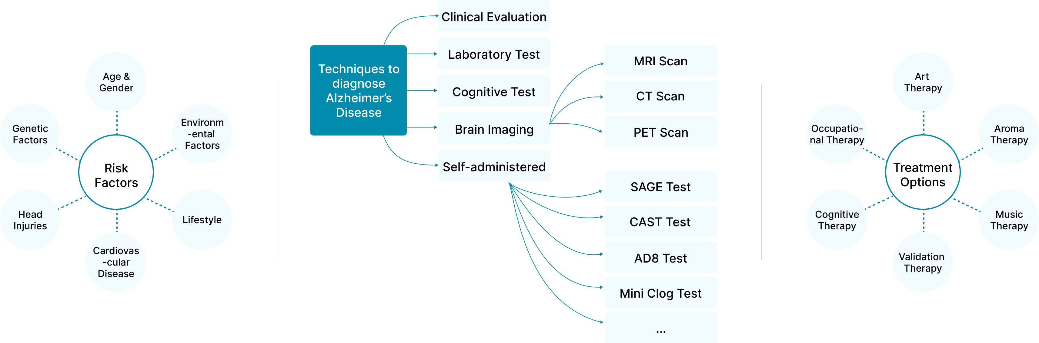 Alzheimer's Risk Factors, Treatments